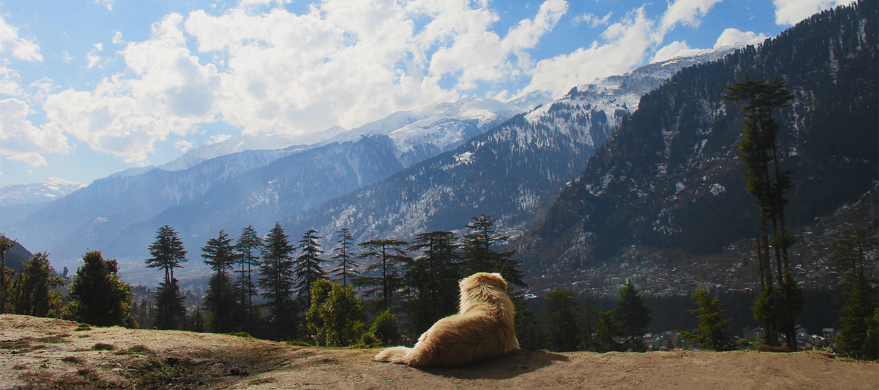 DiAreVe - By Dinesh R Vernekar